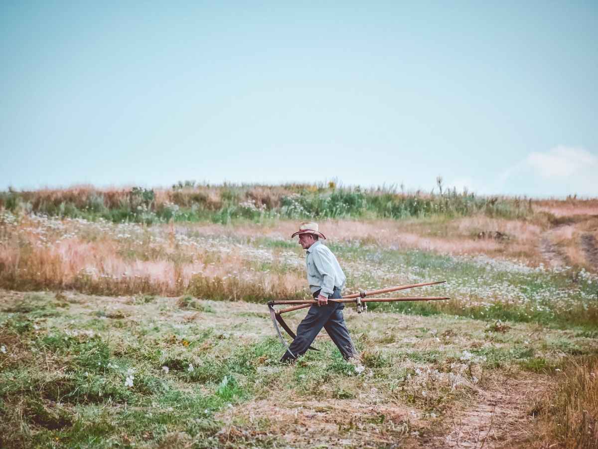 Desafíos en la Implementación de la Ley 1876 y el Servicio de Extensión Agropecuaria en&nbsp;Colombia
