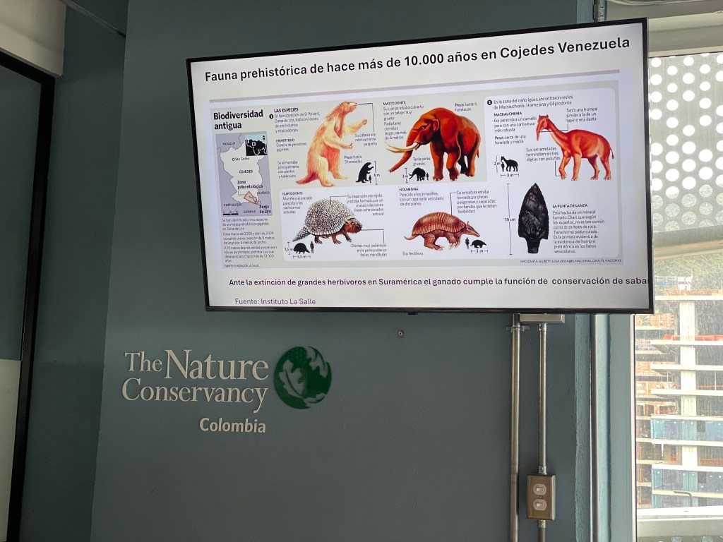 Desaprender la Orinoquía: una reflexión desde la economía y los&nbsp;ecosistemas